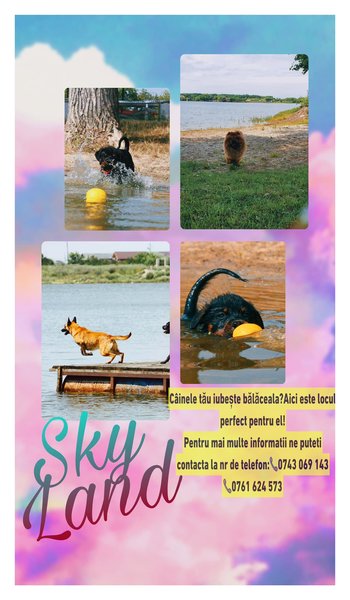 Sky Land - Dresaj Canin, pensiune